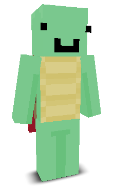 User's Minecraft appearance