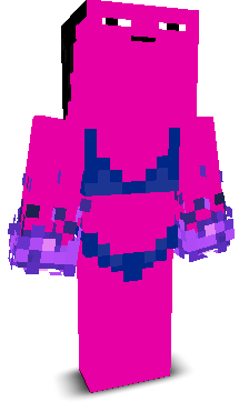 User's Minecraft appearance