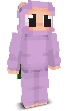 User's Minecraft appearance