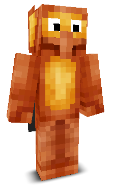 User's Minecraft appearance