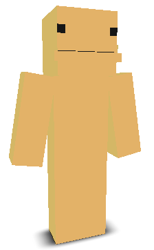 User's Minecraft appearance