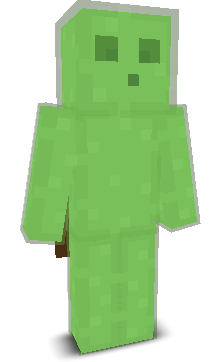 User's Minecraft appearance