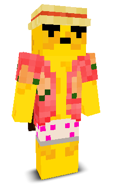 User's Minecraft appearance