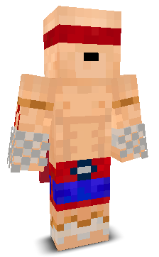 User's Minecraft appearance