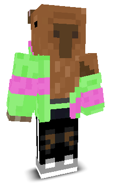 User's Minecraft appearance