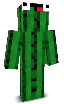 User's Minecraft appearance