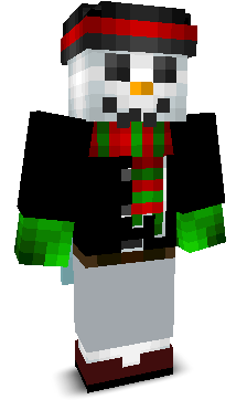 User's Minecraft appearance