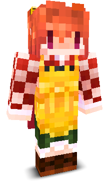 User's Minecraft appearance