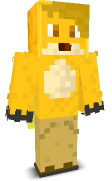 User's Minecraft appearance