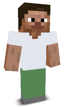 User's Minecraft appearance