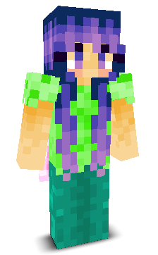 User's Minecraft appearance