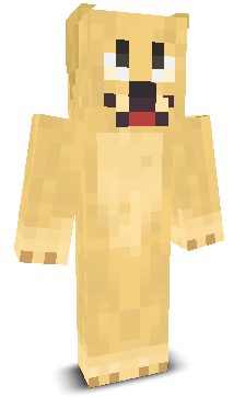 User's Minecraft appearance