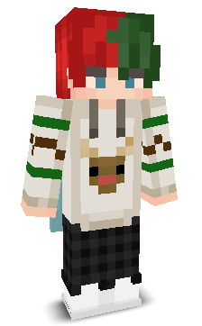 User's Minecraft appearance