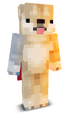 User's Minecraft appearance