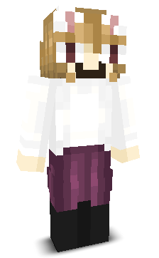 User's Minecraft appearance