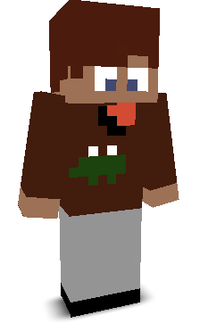 User's Minecraft appearance