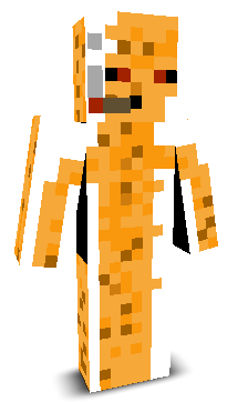 User's Minecraft appearance