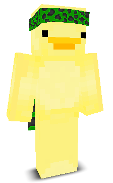 User's Minecraft appearance