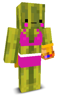 User's Minecraft appearance