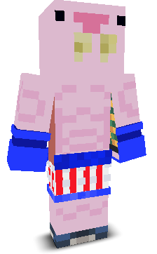 User's Minecraft appearance