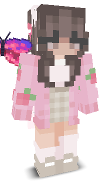 User's Minecraft appearance