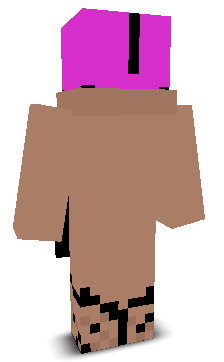 User's Minecraft appearance