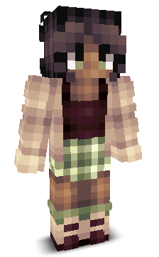 User's Minecraft appearance