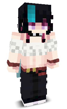 User's Minecraft appearance