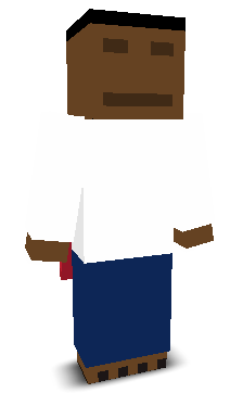 User's Minecraft appearance