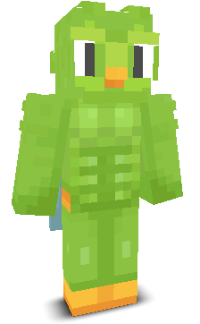 User's Minecraft appearance