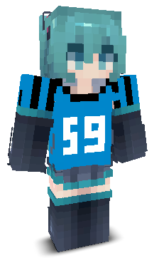 User's Minecraft appearance