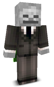 User's Minecraft appearance