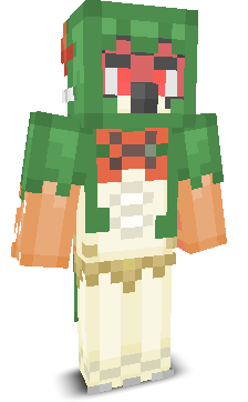 User's Minecraft appearance