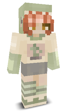 User's Minecraft appearance