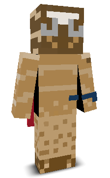User's Minecraft appearance