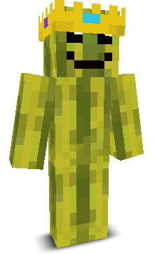 User's Minecraft appearance