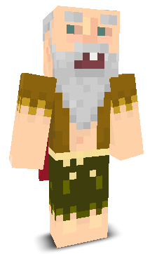 User's Minecraft appearance