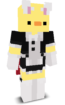 User's Minecraft appearance