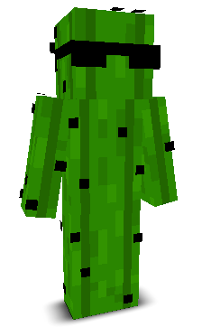User's Minecraft appearance