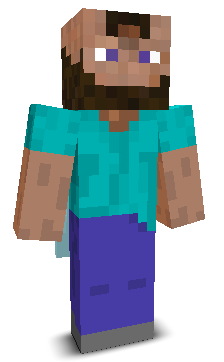 User's Minecraft appearance