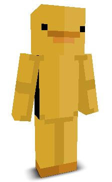 User's Minecraft appearance