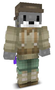User's Minecraft appearance