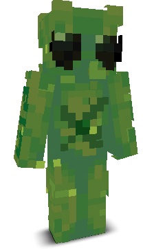 User's Minecraft appearance