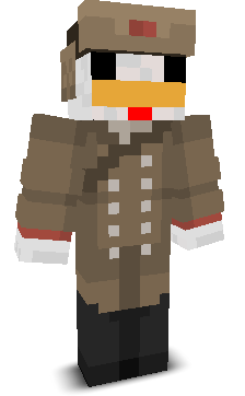 User's Minecraft appearance