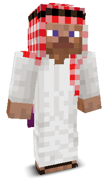 User's Minecraft appearance