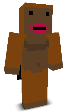 User's Minecraft appearance