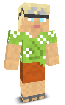 User's Minecraft appearance