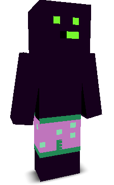 User's Minecraft appearance