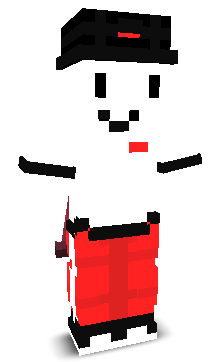 User's Minecraft appearance