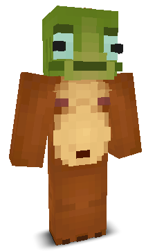User's Minecraft appearance